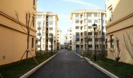 万科改造平山村最新爆料,旧貌换新颜，焕发乡村振兴新活力”